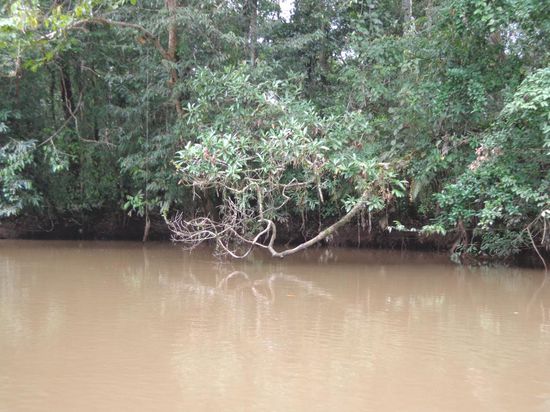 Geil wie sich der Ast im Wasser spiegelt...