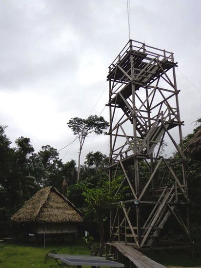 Der "Bird watching tower"