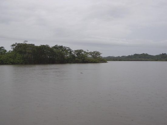 Das ganz kleine in der Mitte ist ein Amazonasdelfin - Ich war der einzige der ihn erwischt hat, zumindest halbwegs 