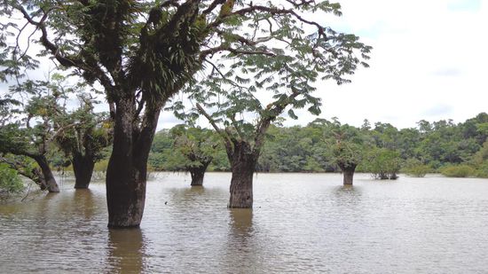 Zurück auf der Laguna Grande