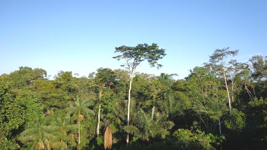 Am letzen Tag auf dem "Bird watching tower"
