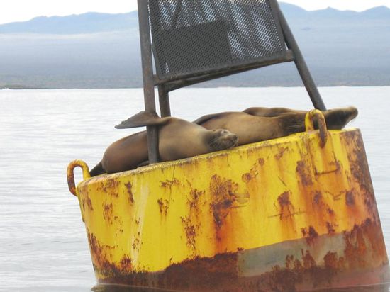 Aufm Weg zum ersten Tauchgang - so schön kann das Leben sein 