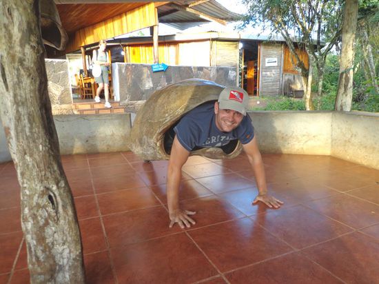 Eine neue Spezies von Riesenschildkröte