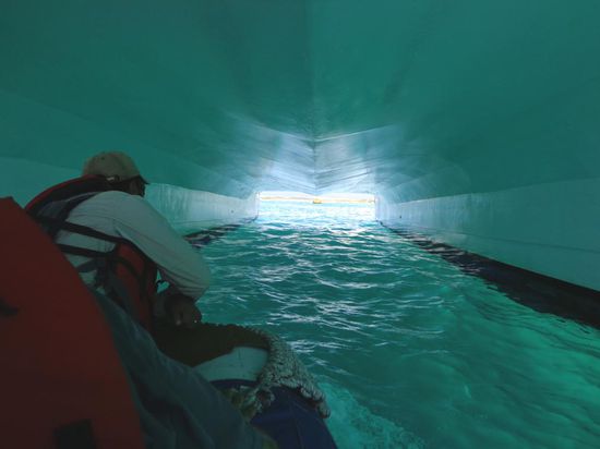 ... aha so geht das - Kopf einziehen 