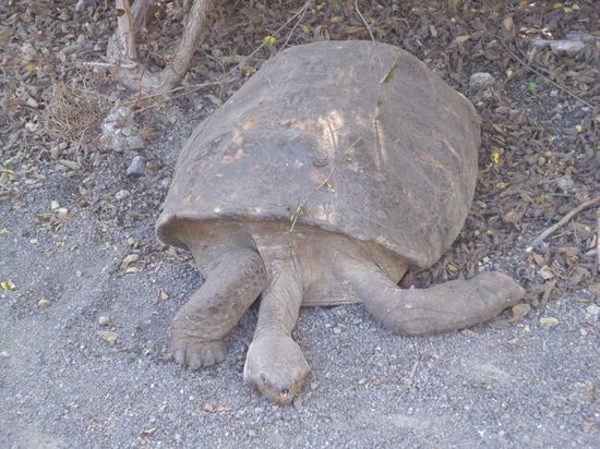 Beim zweiten Ausflug des zweiten Tages