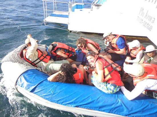 Das Spiel haben sie geliebt 