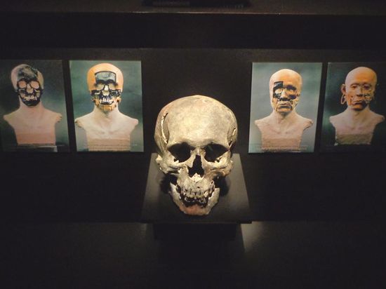 Aufgrund des Schädels hat man das Gesicht rekonstruiert - hübsches Kerlchen 