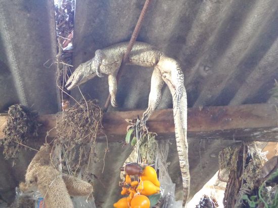 Der hat auch schon bessere Zeiten erlebt 