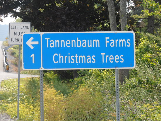 Ich bin extra zurückgefahren, um das zu fotografieren