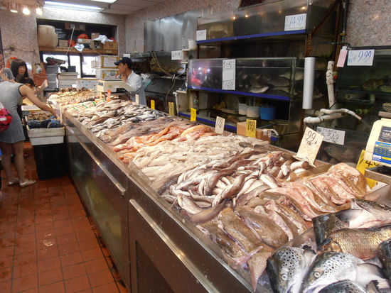 Fisch in allen Formen und Variationen