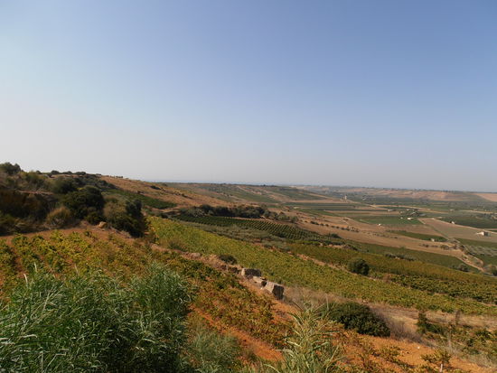 Ein weites und fruchtbares Land.