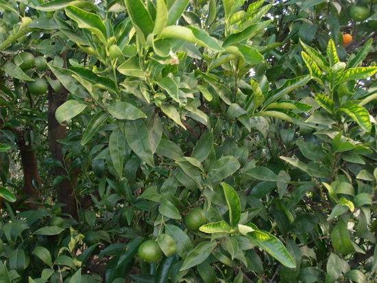 Impressionen von unterwegs