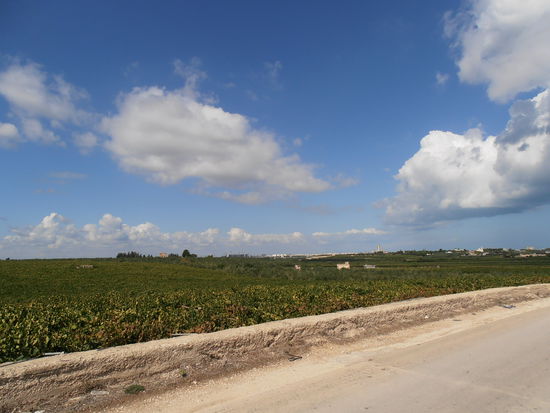 ..und alles eingetaucht in einen azurblauen Himmel