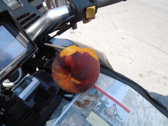 Dies ist ein 496gr. schwerer Pfirsich, und so was von saftig. So gehts auch und ohne Treibhaus