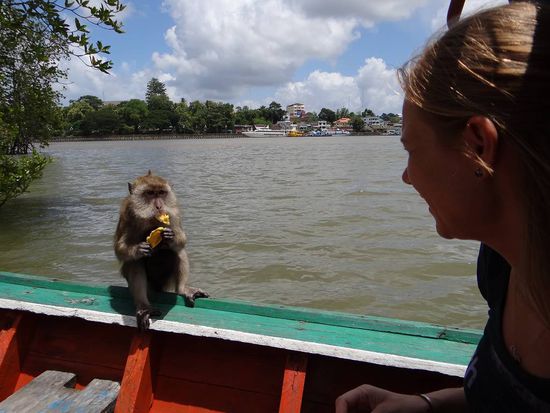 Mr Anns Affenbande...