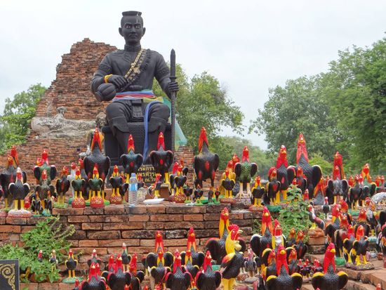der alte König Siams war ein großer Fan von Hahnenkämpfen...