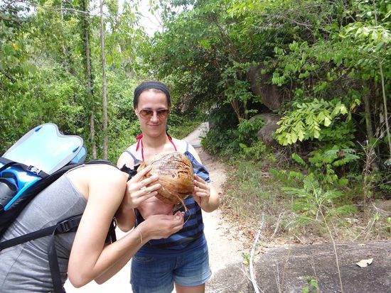 Nun sind wir Selbstversorger...