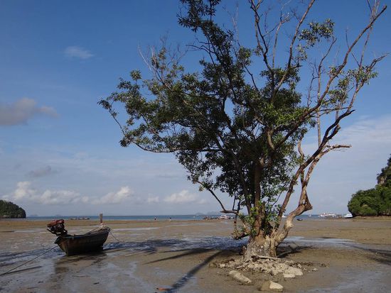 irgendwann war dann auch Ebbe...