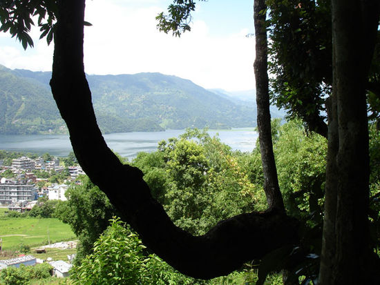 Nepal - Pokhara - Land im Grünen
