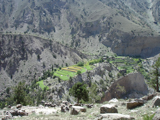 Hinauf geht's mit Jeep nach Tato. Von dort geht es nur per pedes steil hinauf zur Fairy Meadows (Märchenwiese) am Fuße des Nanga Parbat