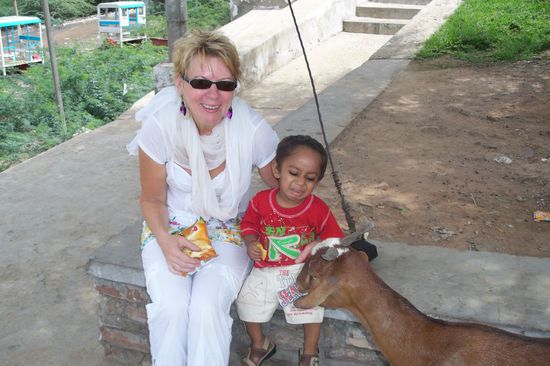 Meinen Wes hab ich erst mal gerettet vor den "wilden" Tieren Pakistans.