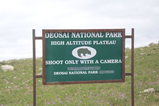 Über 300 verschiedene Pflanzenarten gibt es auf dieser Höhe, klare Hochgebirgsseen, die die Finger vor Kälte taub werden lassen. Reißende Bäche, Flüsse, die sich teils nur per Jeep durchqueren lassen.