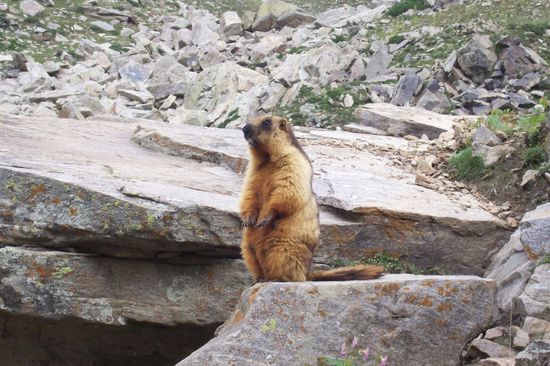 Ist das Leben aufregend!