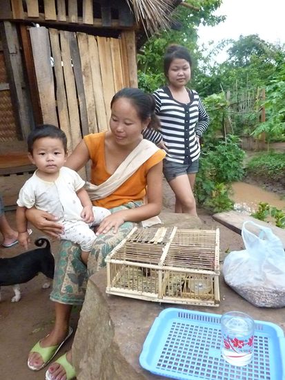 Ausflug auf die gegenüberliegende Seite von L.P. Dort treffen wir auf eine Familie (mit Vogel im Holzkasten), die kein Wort Englisch sprechen, aber wir verstehen uns prächtig.
