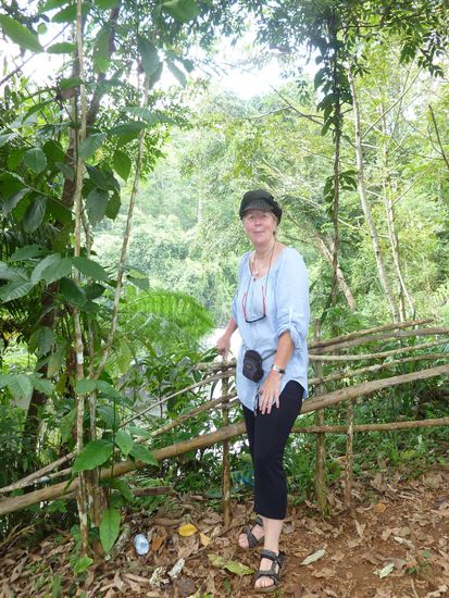 Bild ein bisschen verzerrt, aber soweit ok 