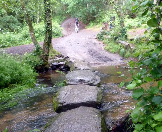 Der Weg über den Bach