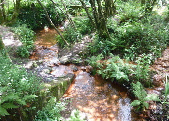 Lavacolla. An diesem Bach haben sich Pilger in früheren Zeiten gewaschen, um sauber in Santiago de Compostela anzukommen.