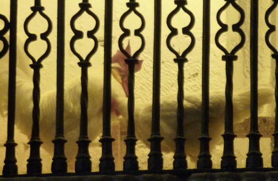 Die Hühner sollen an eine alte Legende erinnern.