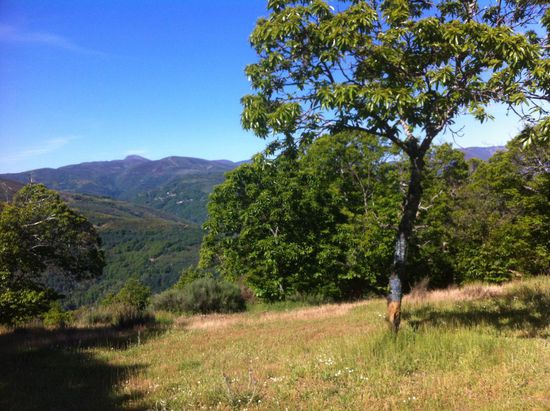 Landschaft vor O`Cebreiro