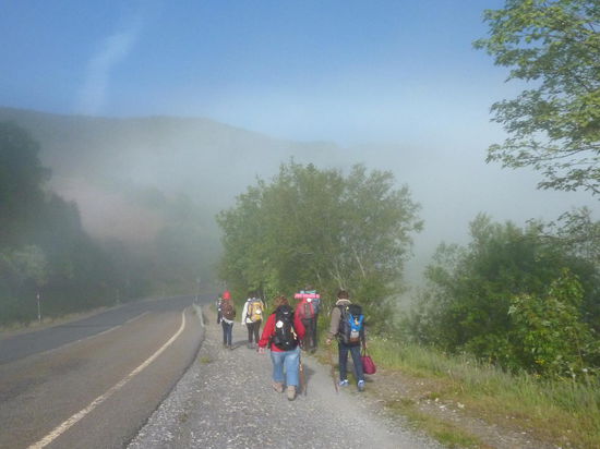 Morgennebel hinter O`Cebreiro