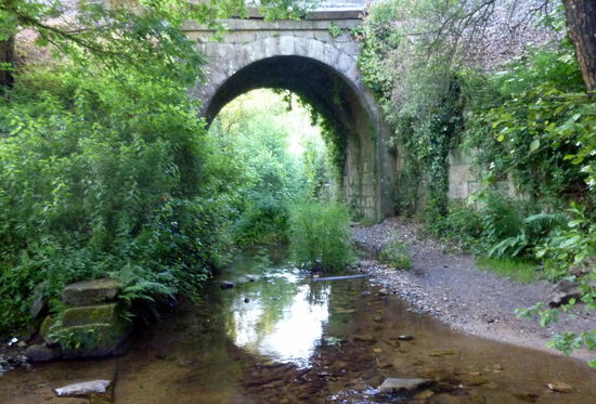 Viel Wasser und Wald nahe Triacastela