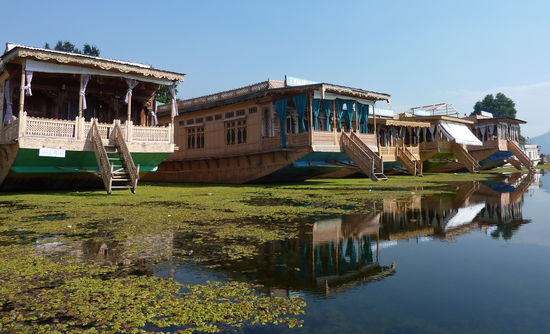Unsere Nachbarhausboote, die fast alle unbewohnt waren, weil kaum Touristen nach Kashmir kommen.