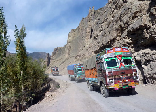 Gefährliche Begegnungen