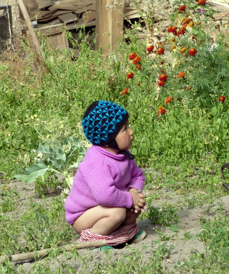 Niedlicher kleiner Junge in einem Garten