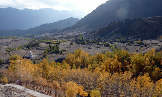 Herbstlandschaft in Ladakh