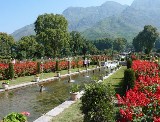 Im botanischen Garten