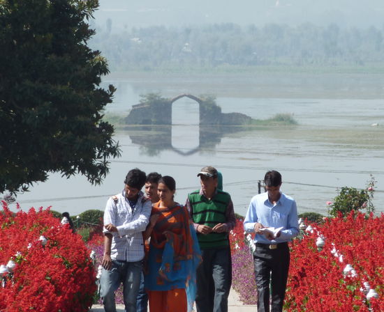 Blick vom botanischen Garten auf den See