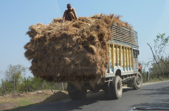Das Heu wird eingefahren.